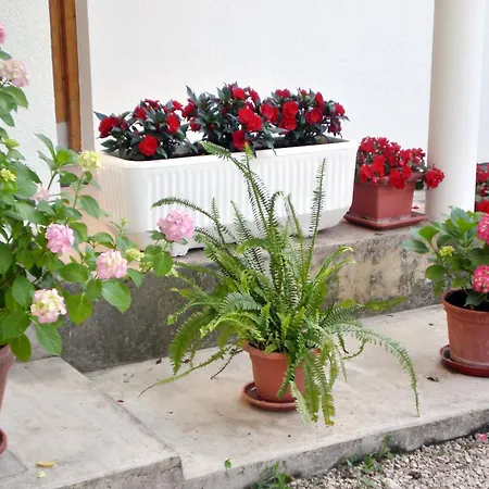 By The Sea Sukosan, Zadar - 5802 Apartment