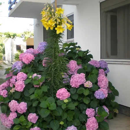 Apartment By The Sea Sukosan, Zadar - 5802